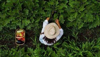 Why Buying Single-Origin Farm Products Matters (And How It Benefits You)