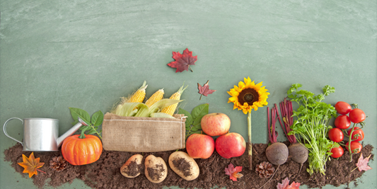 7 Reasons Why Switching to Organic Food Products Can Transform Your Health